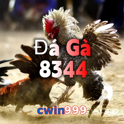cwin999