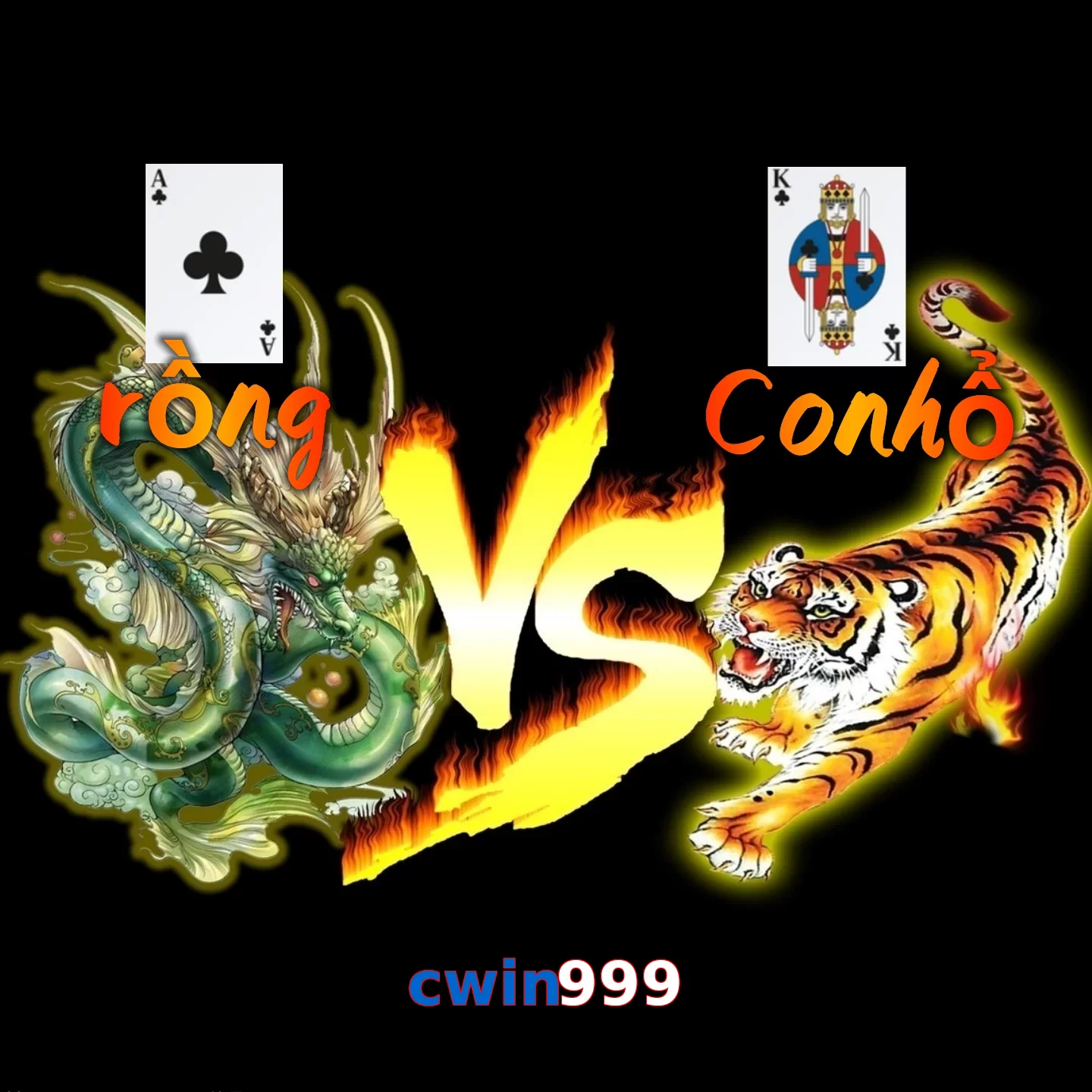 cwin999